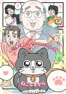 《转生成猫的大叔》：奇葩设定下的爆笑日常！这部搞笑番，绝对让你笑出鹅叫！
