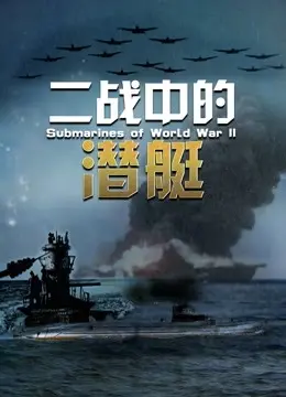 二战中的潜艇 海报